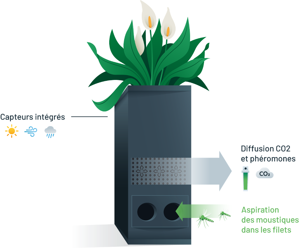 ma boite à moustique - correze nuisibles